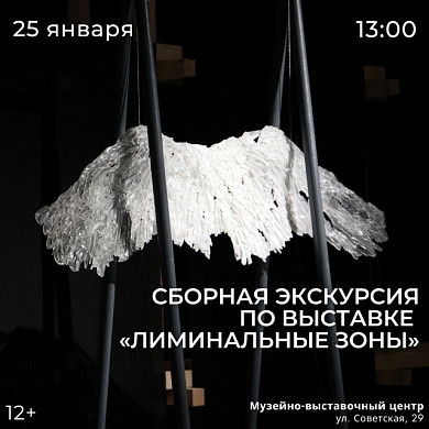 Ивановцев приглашают на лекцию Михаила Майзульса
